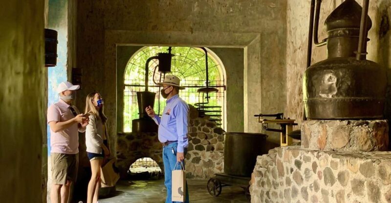 Guadalajara: Tequila Day Trip with Jose Cuervo Option - Who Is This Tour Best For?