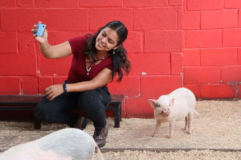 Guadalajara: ticket to Michin Aquarium - Who Should Consider Visiting?