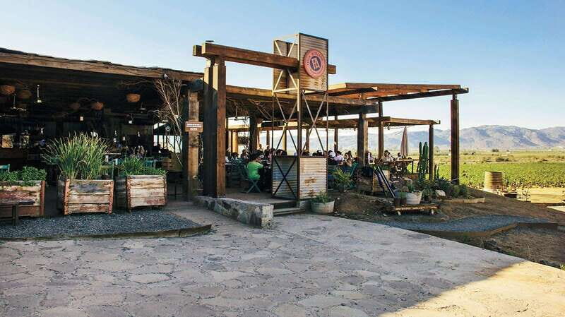 Guadalupe Valley: Complete Wine Route - A Closer Look at the Guadalupe Valley Wine Route