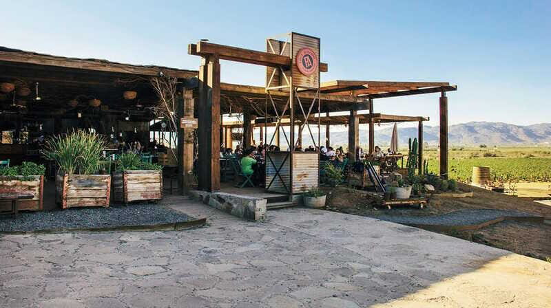 Guadalupe Valley: Complete Wine Route - Who Should Consider This Tour?