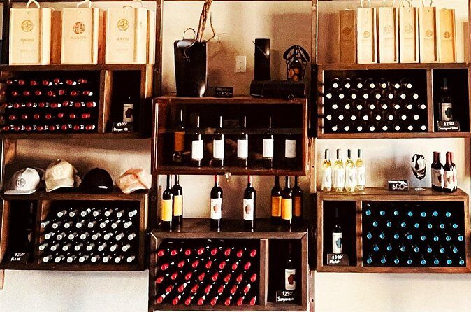 Guadalupe Valley Private Tour The Wine Route - Who This Tour Is Best For