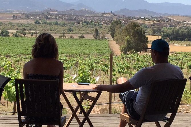 Guadalupe Valley Wine Route Tour in Baja California - Wrapping It Up