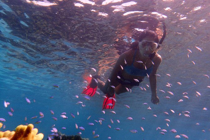 Guam's Private 5 Star Guided Snorkeling Tour! - The Real Guest Perspectives