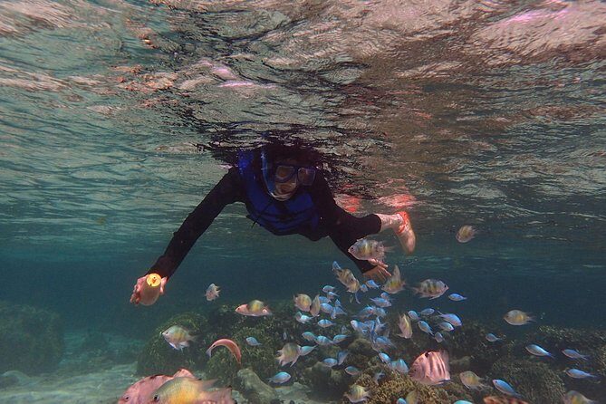 Guam's Private 5 Star Guided Snorkeling Tour! - Who Should Consider This Tour?