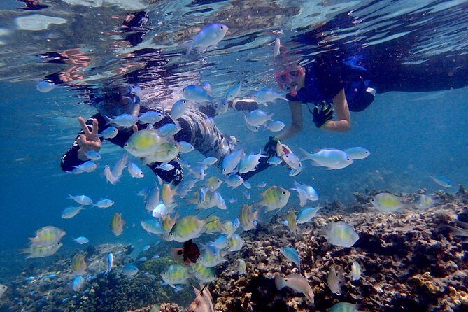 Guam's Private 5 Star Guided Snorkeling Tour! - FAQs