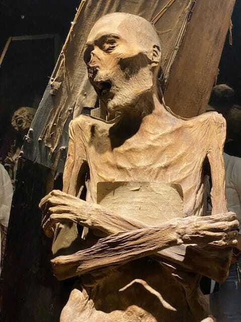 Guanajuato: Culture & History Private Guided Tour - Day Trip - Final Thoughts