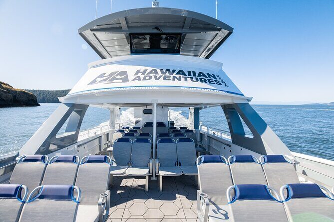 Guaranteed Dolphin and Whale Watch Tour in Kona - What the Tour Offers: A Realistic Overview