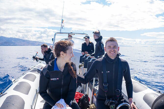 Guaranteed Whale or Dolphin Watching Tour - Funchal - Price & Value