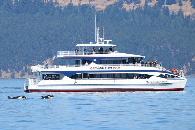 Guaranteed Whale Watch Tour from Anacortes - What to Expect on the Tour