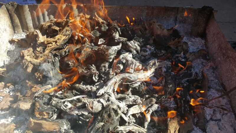 Guardiola de Font-Rubí: Winery & Grill Menu Tour - Who Should Consider This Tour?