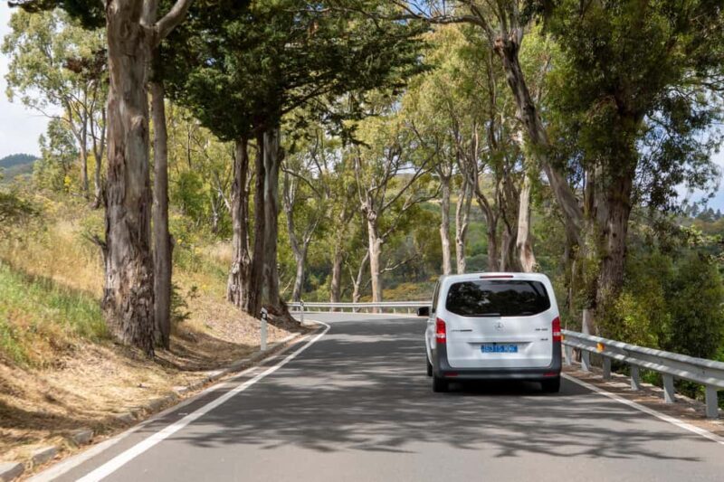 Guayadeque Ravine and the High Peaks of Gran Canaria - Key Points