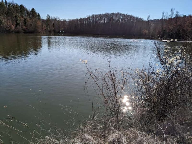 Gubbio: e-bike tour between countryside and historic center - The Practical Side: Logistics and Value