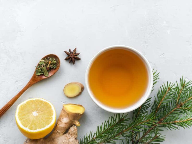 Gudauri Ski Resort Tour  Thrills Above the Clouds in 1 day - A Deep Dive Into the Journey