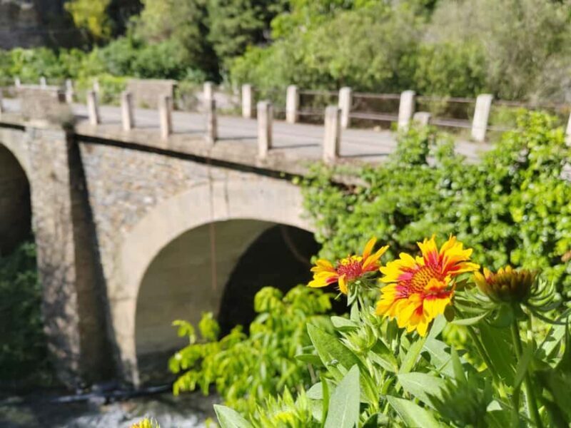 Güejar Sierra: History and food of Sierra Nevada - Exploring Güejar Sierra: The Heart of the Tour