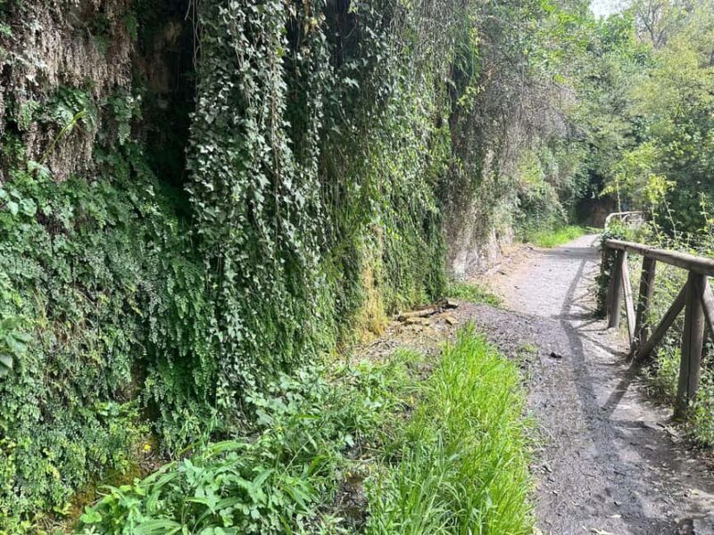 Güejar Sierra: History and food of Sierra Nevada - Who Should Consider This Tour?