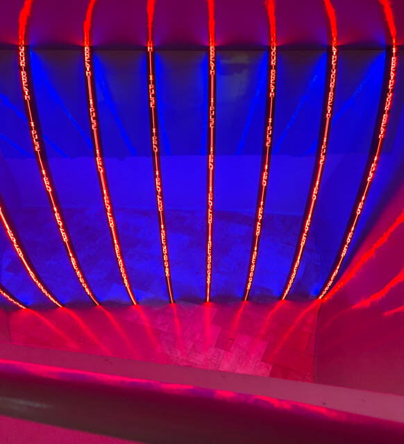 Guggenheim Museum Private Tour - Key Points