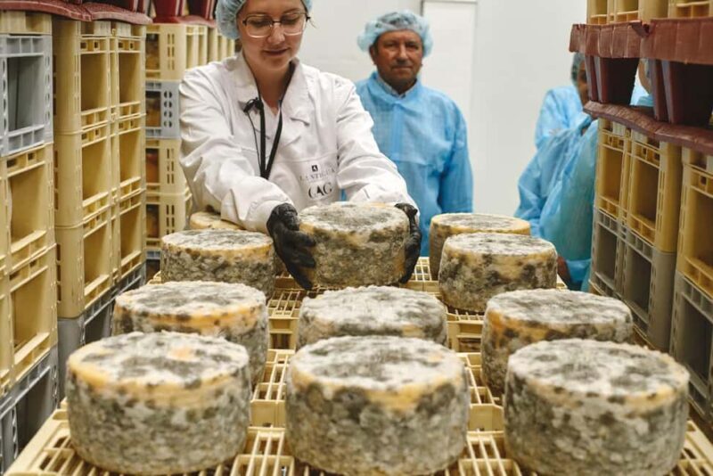 Guide Visit to the old Cheese Factory - Key Points