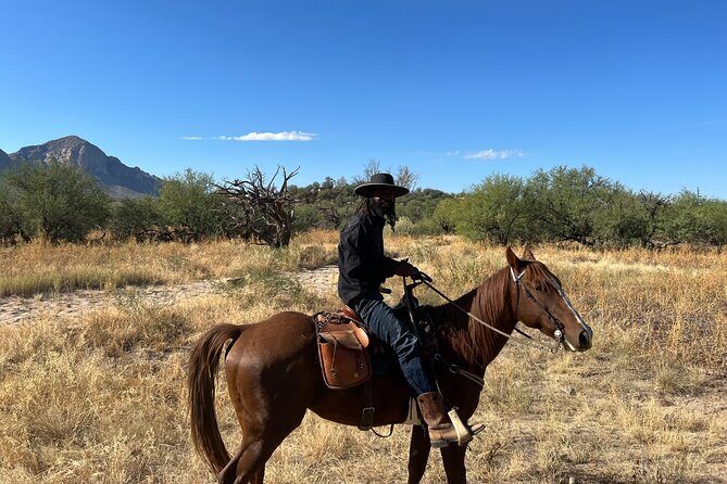 Guided 2 Hour Horseback Ride Catalina State Park Coronado Forest - Who Should Book This Tour?