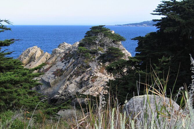 Guided 2-Hour Point Lobos Nature Walk - The Experience in Detail: What to Expect