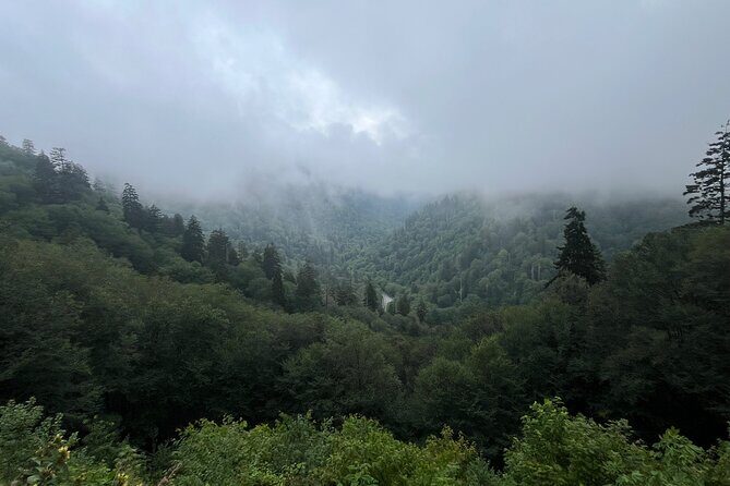 Guided Art Adventure Hikes in Great Smoky Mountains Natl Park - The Experience: What’s on Offer?