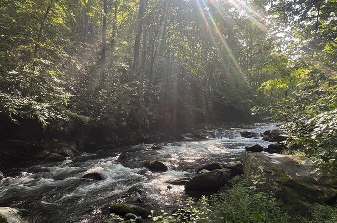 Guided Art Adventure Hikes in Great Smoky Mountains Natl Park - The Sum Up