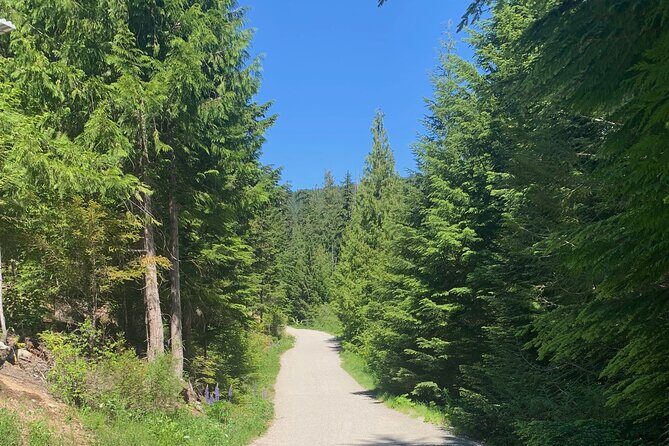 Guided Bike /E-bike Tour in Whistler From Vancouver - How the Price Reflects the Experience