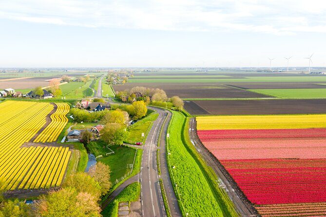 Guided Bike Tour along the Dutch Tulip Fields in Noord Holland - A Deep Dive into the Experience