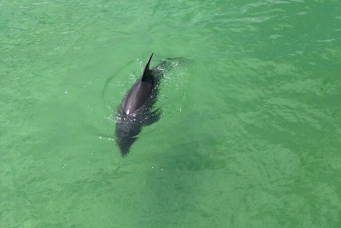 Guided Bike Tour - Downtown Naples Florida - What to Expect During the Tour