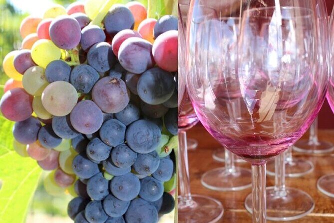 Guided Bike Tour on Historical Kettle Valley Railway at Myra Canyon & Wine Tour - An In-Depth Look at the Experience