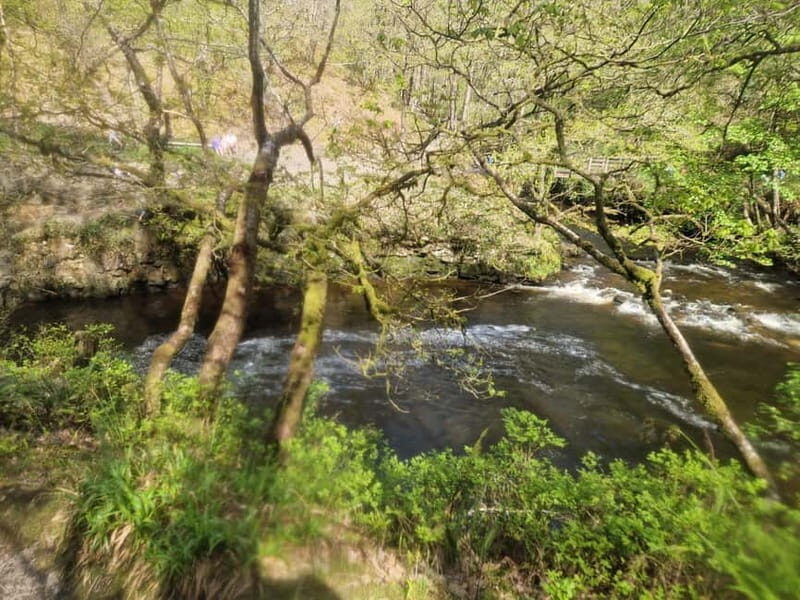 Guided Breacon Beacons 4 waterfalls in day hike from Cardiff - FAQ