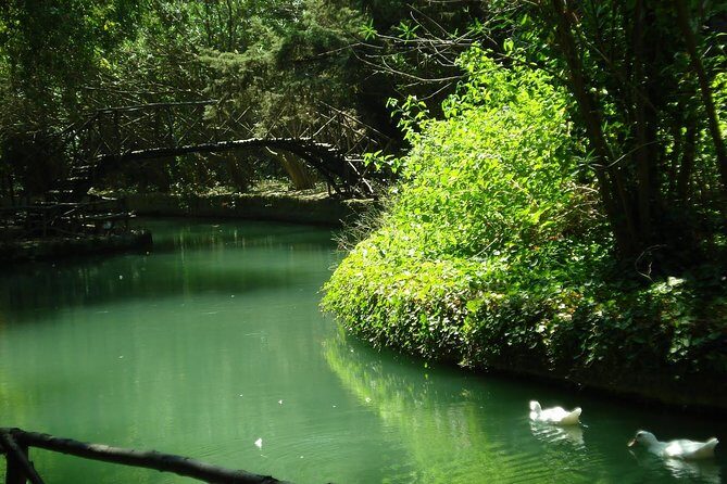 Guided Bus Trip to Lindos Village and 7 Springs - The Experience: What Travelers Say