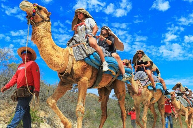 Guided Canyon Camel Ride in Wild Canyon Adventure Park - The Experience in Detail