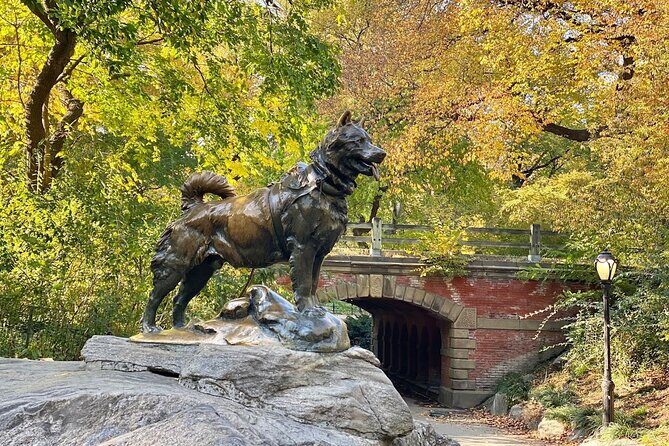 Guided Central Park Bike Tour 2 Hours - The Experience of Cycling in Central Park