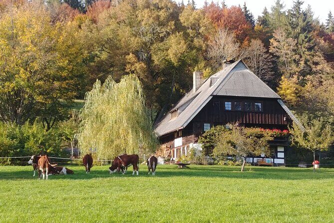 Guided cider tasting - What to Expect from the Cider Tasting Experience