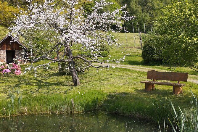 Guided cider tasting - FAQ