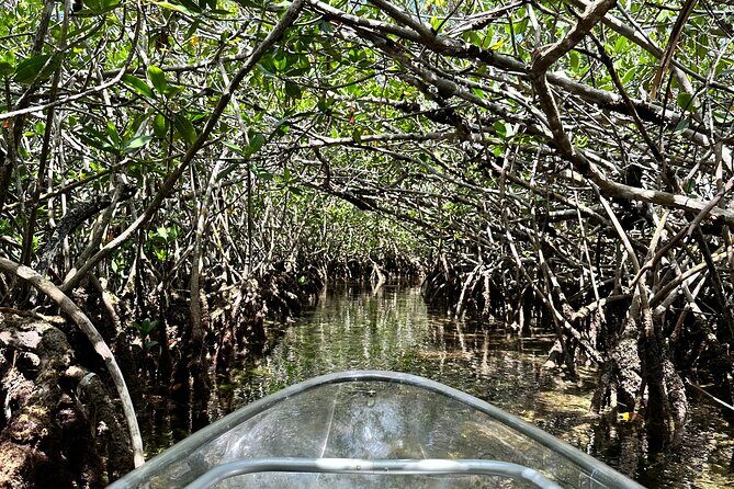 Guided Clear Kayak Eco-Tour Near Key West - Frequently Asked Questions