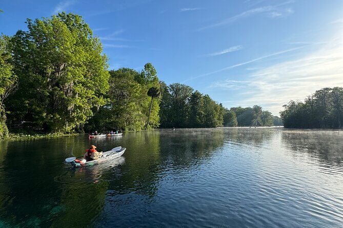 Guided Clear Kayak Tours on the Silver River - What to Expect from the Silver River Kayak Tour