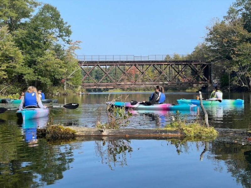 Guided Covered Bridge Kayak Tour, Southern Maine - Authentic Traveler Perspectives