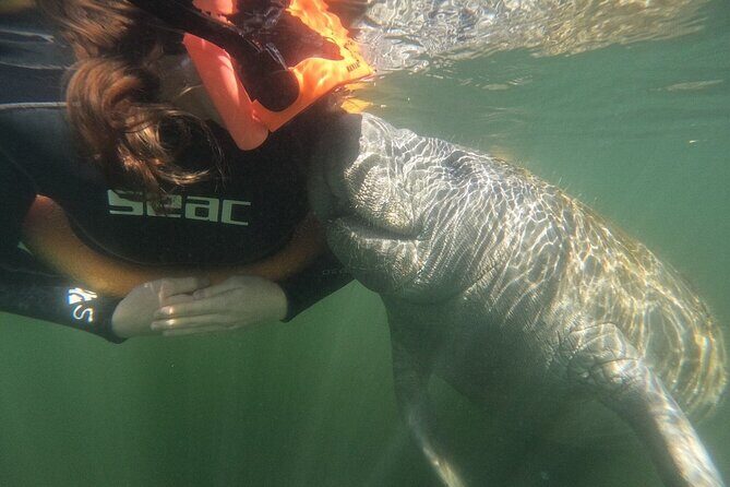 Guided Crystal River Manatee Snorkeling Tour - The Group Size and Booking Details
