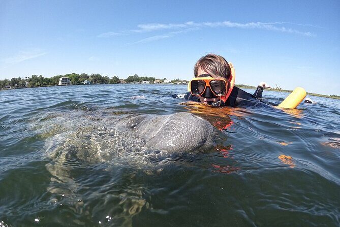 Guided Crystal River Manatee Snorkeling Tour - Who Is This Tour Best For?
