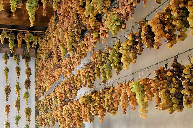 Guided Cycle Tourism Wine Tour by E-Bike on the Island of Elba "Arrighi" - FAQs