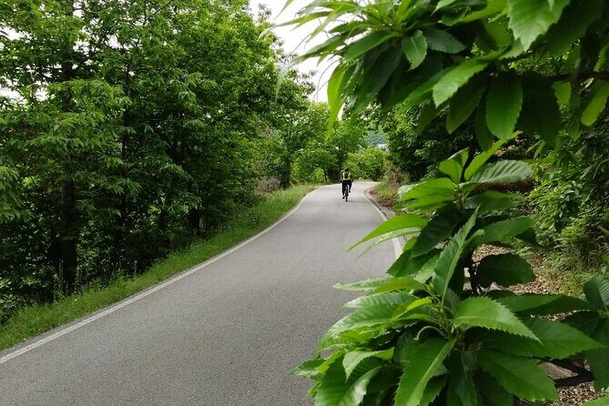 Guided Cycling - Blue Village Ronda - Moderate Level Difficulty - What We Loved Based on Reviews