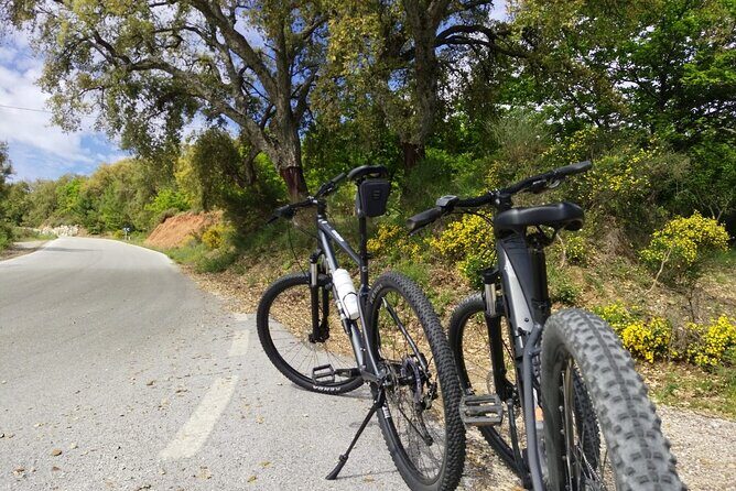 Guided Cycling - Blue Village Ronda - Moderate Level Difficulty - Potential Drawbacks and Considerations