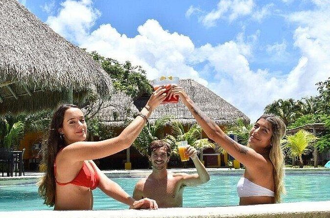 Guided Day Tour in Cozumel on a Clear Boat and Electric Scooter - Who Is This Tour Best For?