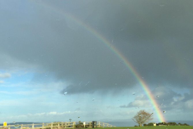 Guided Day Tour of Giant's Causeway from Belfast by Comfortable Coach - An In-Depth Look at the Tour Experience