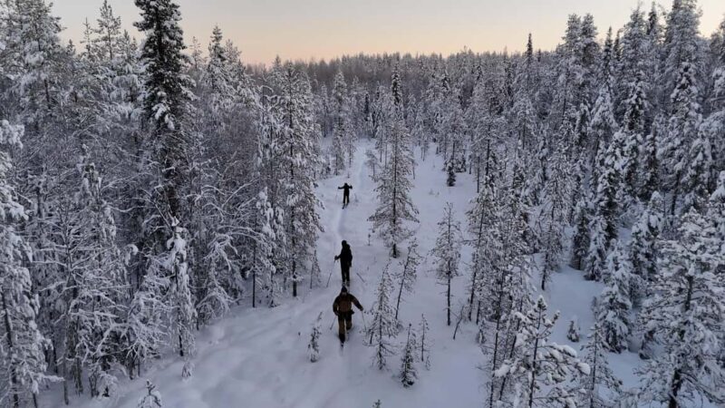 Guided Daytime Ski Adventure: Private Trails by Rovaniemi - What to Expect in Terms of Comfort and Preparation