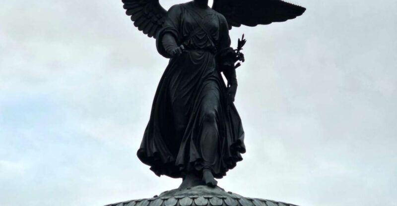 Guided Deluxe Pedicab Tour in Central Park - A Closer Look at the Guided Deluxe Pedicab Tour