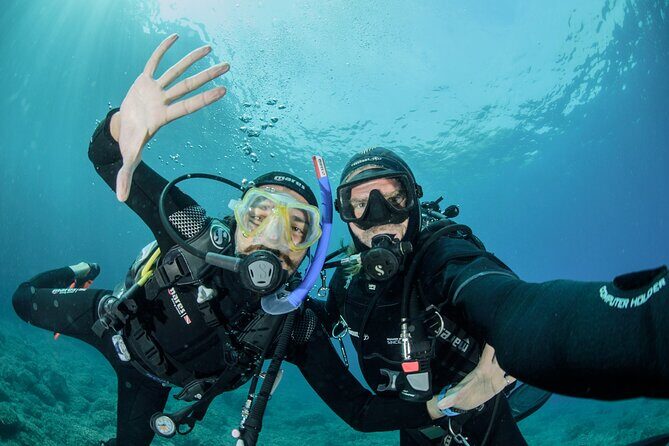 Guided diving for beginners without certification from Sorrento - Key Points
