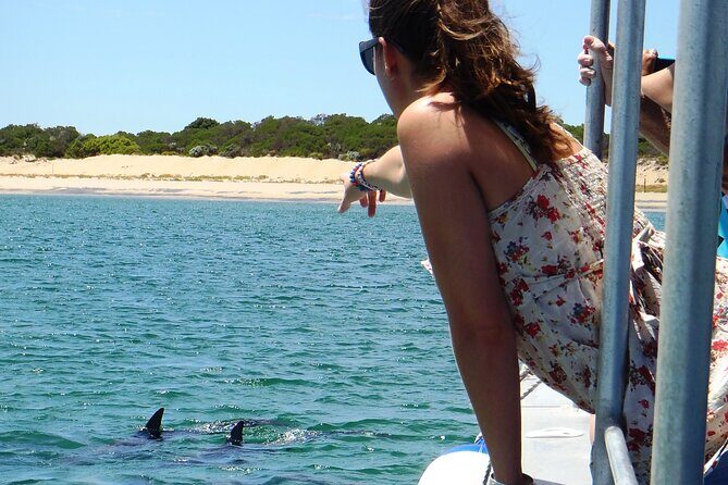 Guided Dolphin Eco-Cruise in Koombana Bay - What You Can Expect from the Eco-Cruise