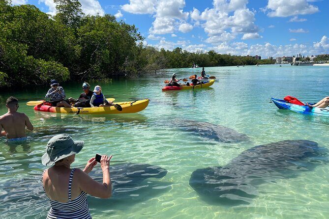 Guided Dolphin Eco Tour by Kayak & SUP - Fort Myers Beach, FL - Key Points